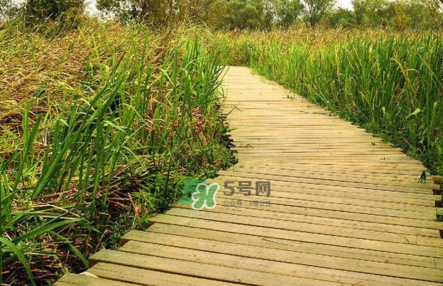 心碎綜合癥是抑郁癥嗎？心碎綜合癥怎么治療