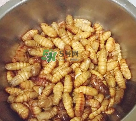 蜂蛹怎么保存？蜂蛹怎么做好吃？