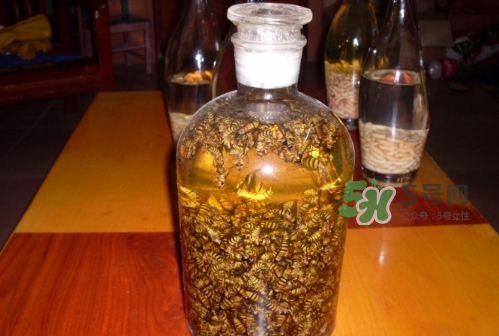 蜂蛹和枸杞能一起泡酒嗎？蜂蛹和枸杞泡酒的功效