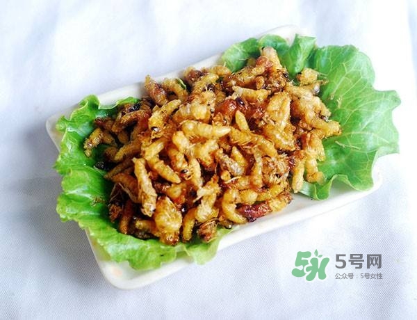 蜂蛹怎么保存？蜂蛹怎么做好吃？