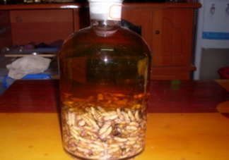 蜂蛹和枸杞能一起泡酒嗎？蜂蛹和枸杞泡酒的功效