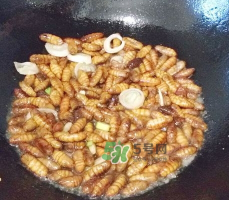 蜂蛹怎么保存？蜂蛹怎么做好吃？