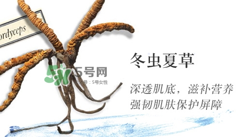菌菇水是哪個(gè)國家的？悅木之源菌菇水是日本的嗎
