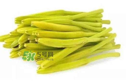 黃花菜是忘憂草嗎？黃花菜是不是金針菜