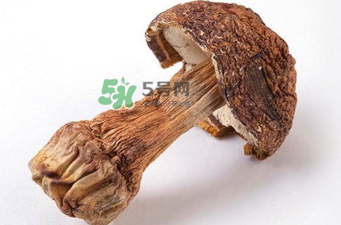 產(chǎn)婦能吃松茸嗎？哺乳期可以吃松茸嗎