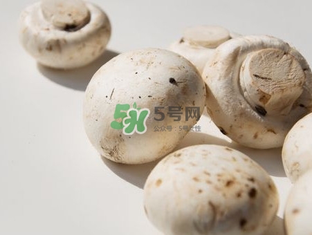 白蘑菇是什么種類(lèi)？白蘑菇怎么洗才洗得干凈