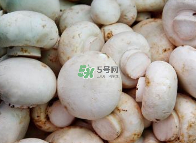 蘑菇變黑了還能吃嗎？蘑菇怎么保存？