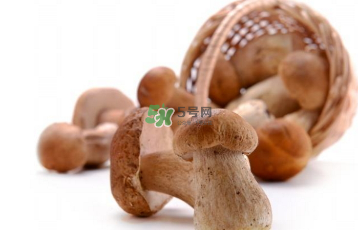 蘑菇能放冰箱嗎？蘑菇能放冰箱多長時間？