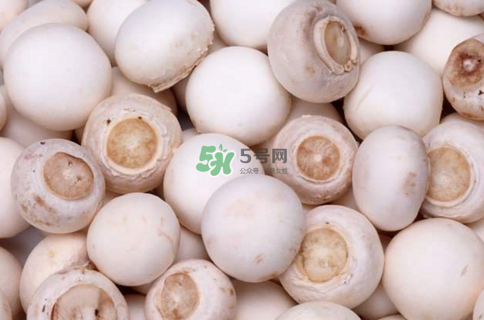 蘑菇能放冰箱嗎？蘑菇能放冰箱多長時間？