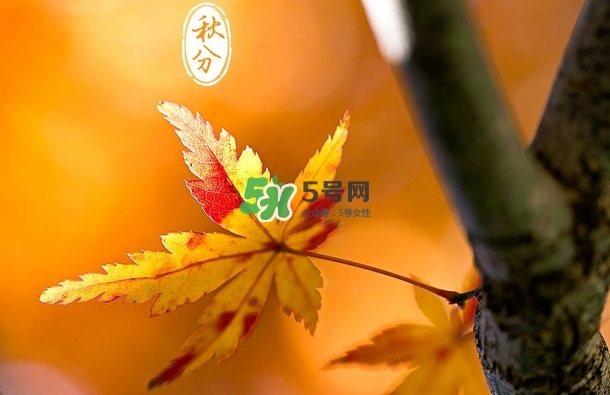 秋分是秋天到了嗎_秋分開(kāi)始入秋了嗎_秋分是秋天開(kāi)始嗎