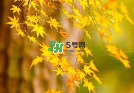 秋分是秋天到了嗎_秋分開(kāi)始入秋了嗎_秋分是秋天開(kāi)始嗎