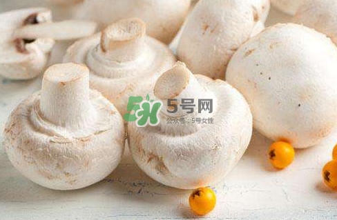 新鮮白蘑菇怎么做好吃？白蘑菇有什么好處