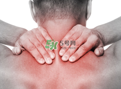 碧緹福護(hù)頸儀多少錢？碧緹福護(hù)頸儀價(jià)格