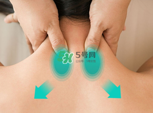 碧緹福護(hù)頸儀多少錢？碧緹福護(hù)頸儀價(jià)格