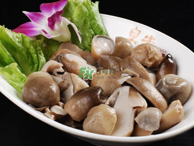 草菇孕婦能吃嗎？草菇要煮多久可以吃？