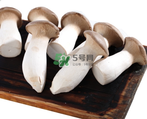 杏鮑菇有苦味還能吃嗎？杏鮑菇有酒味是壞了嗎