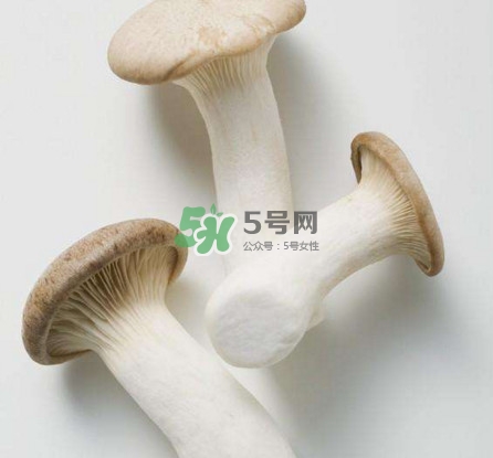 杏鮑菇用水焯嗎？杏鮑菇怎么做好吃