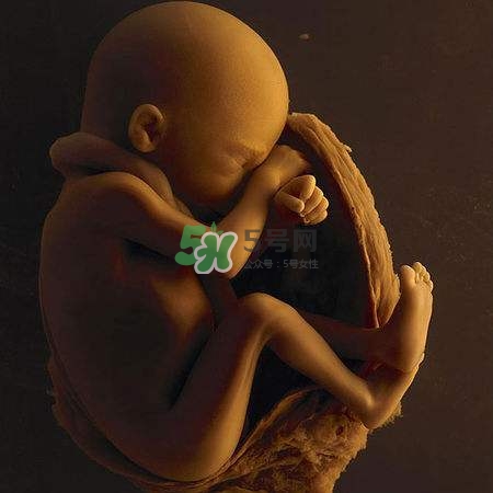 臍帶繞頸是什么意思？臍帶繞頸兩周怎么糾正？