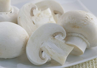 白蘑菇是什么蘑菇？白蘑菇有毒嗎