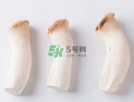杏鮑菇有苦味還能吃嗎？杏鮑菇有酒味是壞了嗎