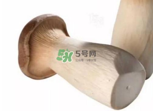 杏鮑菇有苦味還能吃嗎？杏鮑菇有酒味是壞了嗎