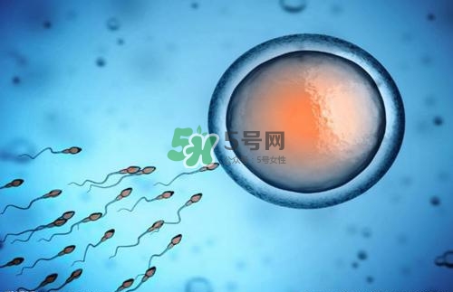 精子在女性體內(nèi)可以存活多久？男性的精子會枯竭嗎？