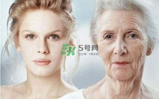 抗氧化是抗衰老嗎？抗氧化是不是就等于抗衰老？