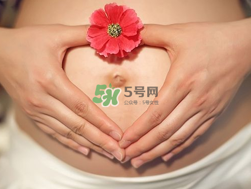 秋天孕婦可以吃絲瓜嗎？秋天孕婦吃絲瓜好嗎？
