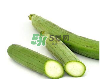 秋天吃絲瓜掉頭發(fā)嗎？秋天吃絲瓜愛掉頭發(fā)是真的嗎？