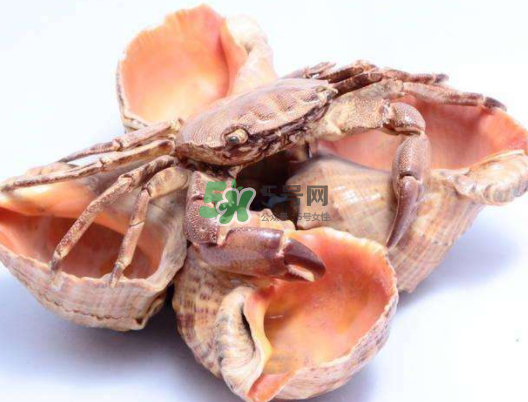 螃蟹殼里的東西是什么？螃蟹殼里什么不能吃？