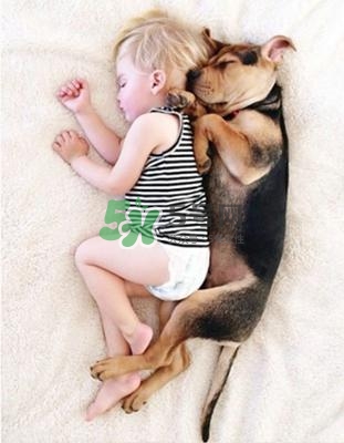 孕婦能養(yǎng)狗嗎？孕婦養(yǎng)狗注意事項(xiàng)