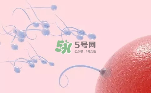 精子在女性體內(nèi)可以存活多久？男性的精子會枯竭嗎？