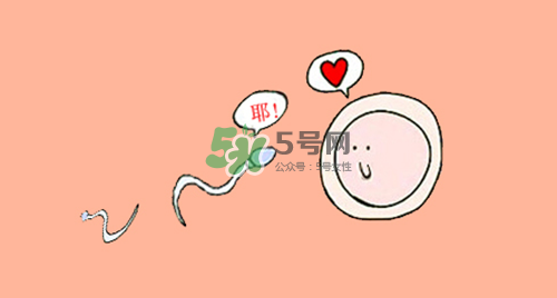 精子在女性體內(nèi)可以存活多久？男性的精子會枯竭嗎？