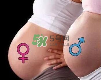 為什么孕婦的肚子有尖有圓？孕婦肚子尖圓對(duì)照?qǐng)D