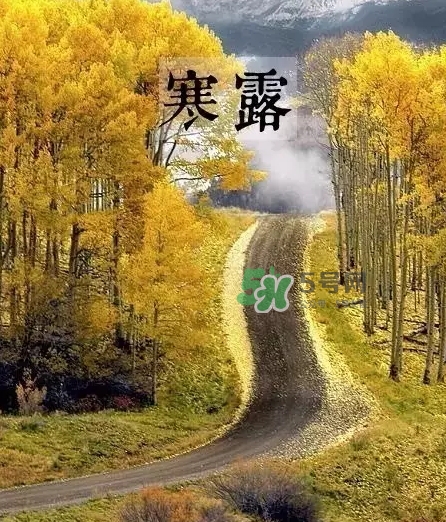 白露是寒露嗎？白露和寒露的區(qū)別