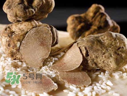 松露為什么那么貴？松露為什么這么貴？
