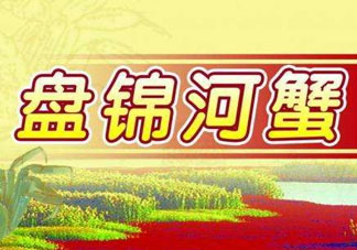 盤錦河蟹批發(fā)市場在哪？盤錦河蟹哪里最正宗？