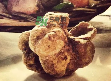 世界上評價(jià)較高的松露品種是什么？白松露和黑松露哪個(gè)好
