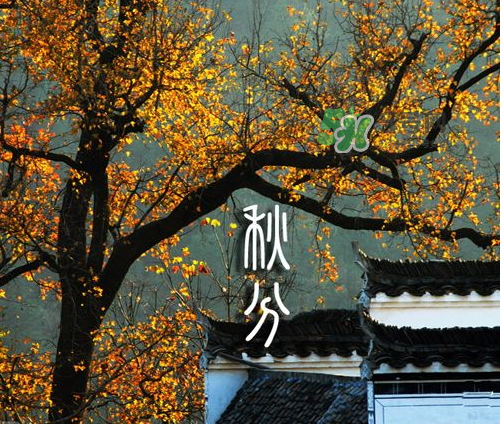 2017秋分會(huì)下雨嗎？2017秋分下雨好不好？