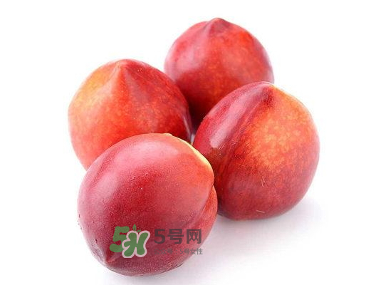九月份還有桃子嗎？9月份成熟的桃子有幾種？