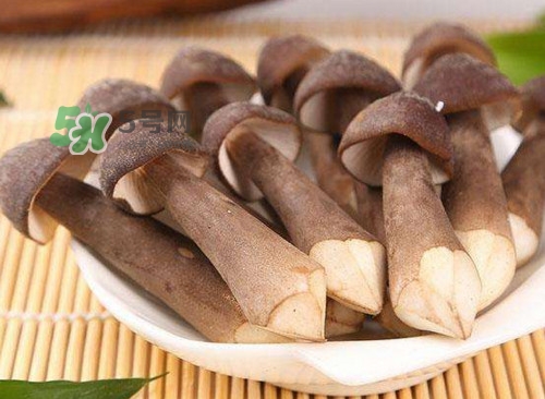 雞樅菌什么人不能吃？雞樅菌哪些人能吃