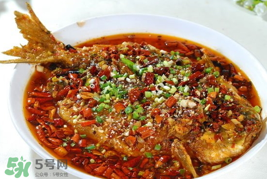 黑魚能愈合傷口嗎？黑魚為什么對(duì)傷口愈合？