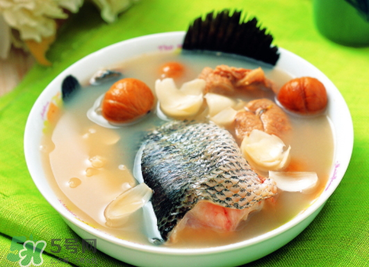 黑魚能愈合傷口嗎？黑魚為什么對(duì)傷口愈合？