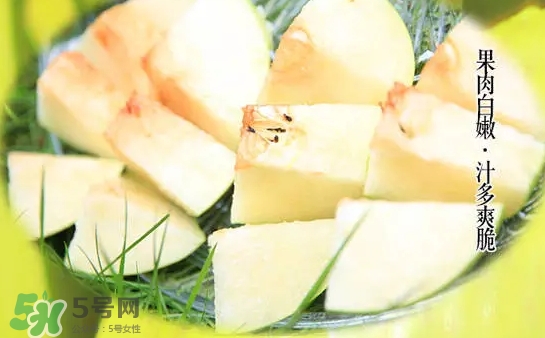 綠寶石梨多少錢一斤？綠寶石梨價(jià)格表