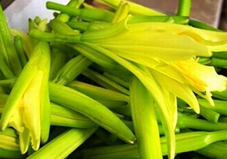 黃花菜開花了還能吃嗎？開花的黃花菜可以吃嗎