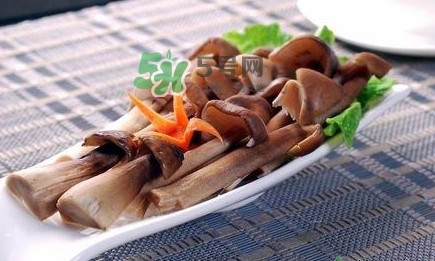 雞樅菌和松茸哪個更好？雞樅菌有什么營養(yǎng)