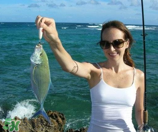 9月份釣什么魚？9月份釣草魚嗎？