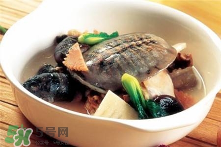 產(chǎn)婦能吃甲魚嗎？產(chǎn)婦能吃甲魚湯嗎？