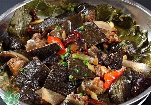甲魚湯下奶嗎？下奶的食物有哪些？