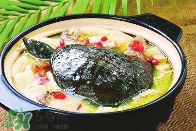 甲魚湯下奶嗎？下奶的食物有哪些？
